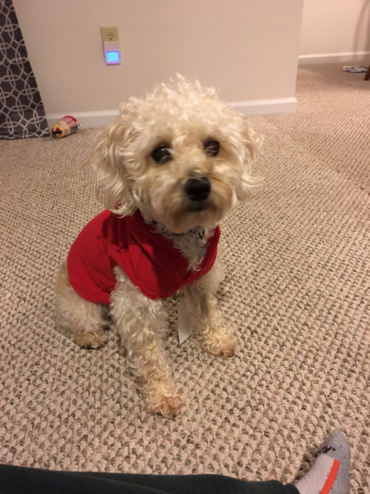 Pet Red Fleece Hoodie Pjs for Dogs & Cats