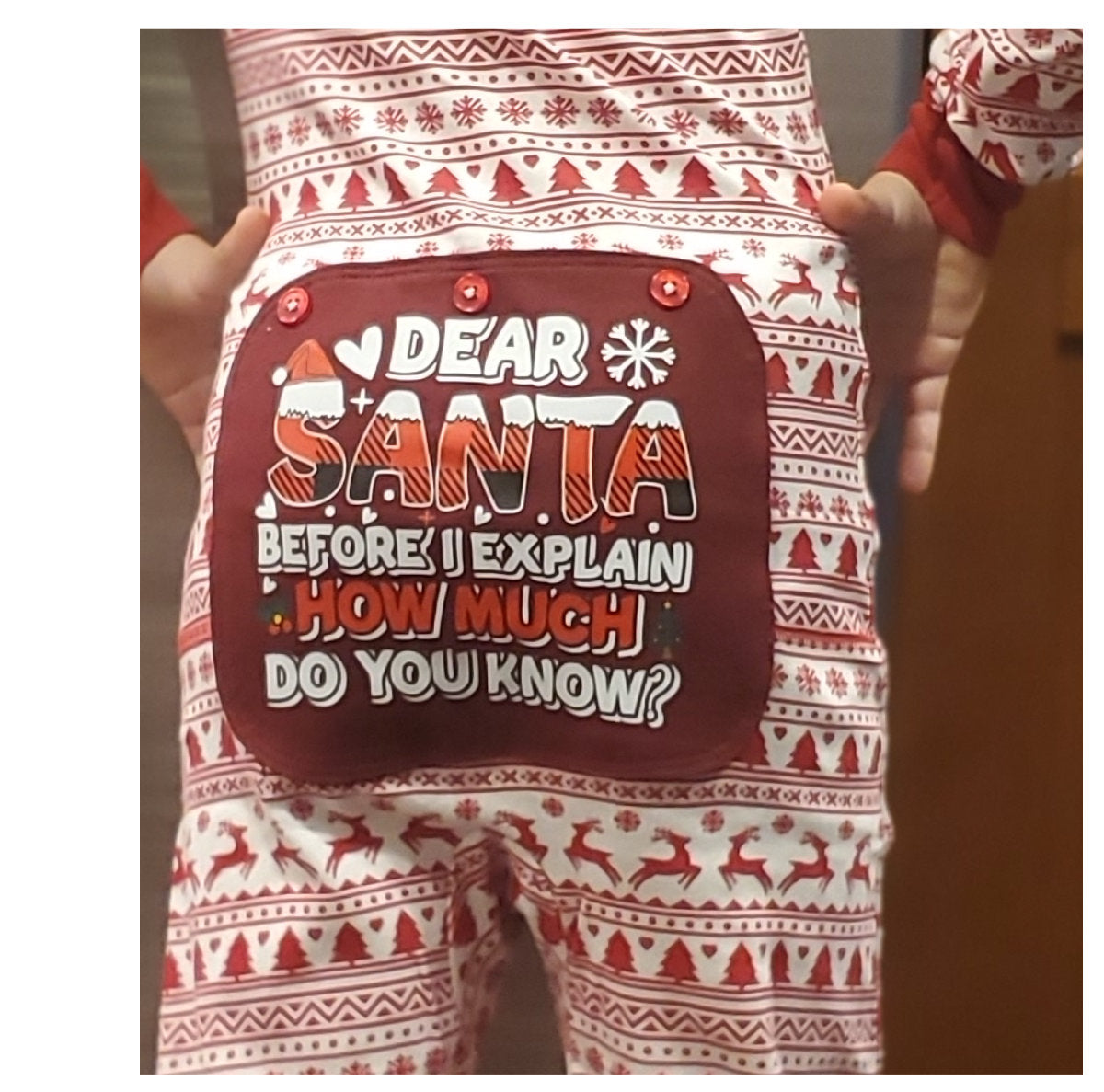 Funny Onesie Union Suit Boys & Girls Kids Pajamas Sign on Rear, "SANTA, BEFORE I EXPLAIN"